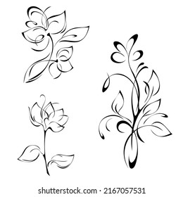 decorative element with stylized blooming flowers on stems with leaves and swirls. graphic decor, SET