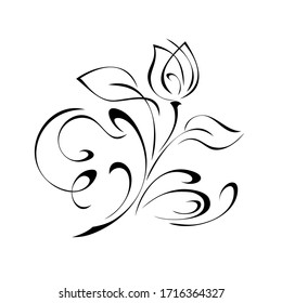 decorative element with a stylized flower Bud on a stem with leaves and curls in black lines on a white background