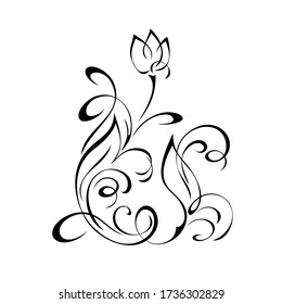 decorative element with a stylized flower Bud on a stem with leaves and curls in black lines on a white background