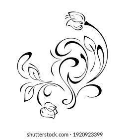 dekoratives Element mit stylisierten Blumenknospen, Blättern und Curlen in schwarzen Linien auf weißem Hintergrund