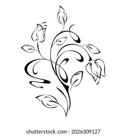 decorative element with stylized flower buds on stems with leaves and curls in black lines on a white background