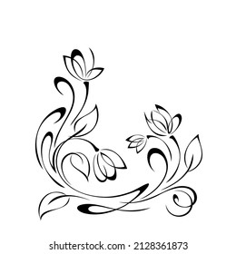 elemento decorativo con brotes de flores estilizadas sobre tallos con hojas y rizos. decoración gráfica