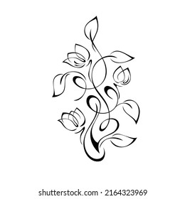 decorative element with stylized flower buds on stems with leaves and curls. graphic decor