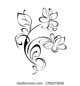 decorative element with stylized flowers, leaf and curls in black lines on a white background
