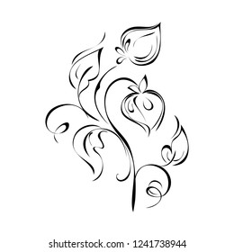 decorative element with stylized flowers with leaves in smooth black lines on white background