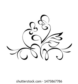 decorative element with stylized flowers, leaves and curls in black lines on a white background