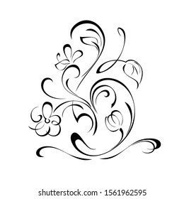 decorative element with stylized flowers, leaves and curls in black lines on a white background
