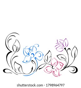 decorative element with stylized flowers, leaves and swirls in colored lines on a white background