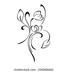 decorative element with stylized flowers, leaves and curls. graphic decor