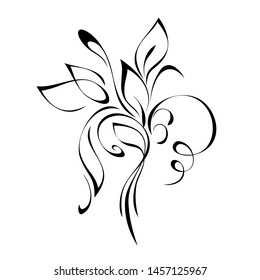 decorative element with stylized leaves and curls in black lines on a white background