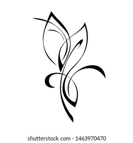 decorative element with stylized leaves and curls in black lines on a white background