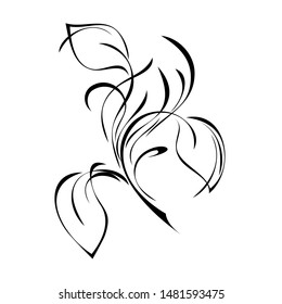 decorative element with stylized leaves and curls in black lines on a white background