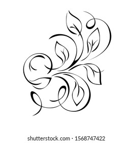 decorative element with stylized leaves and curls in black lines on a white background