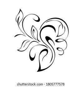decorative element with stylized leaves and curls in black lines on a white background