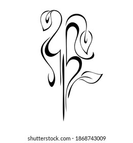 decorative element with stylized leaves and curls in black lines on a white background