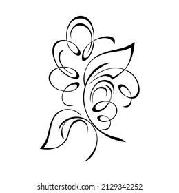 decorative element with stylized leaves and curls. graphic decor