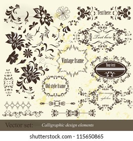 Decorative elements for elegant design. Calligraphic vector