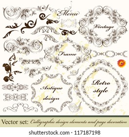 Decorative elements for elegant design. Calligraphic vector