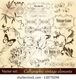 Decorative elements for elegant design. Calligraphic vector