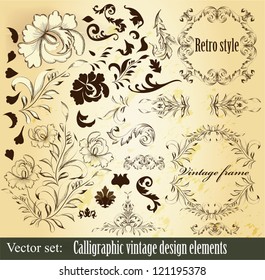 Decorative elements for elegant design. Calligraphic vector