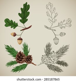 decorative elements, forest tree branches