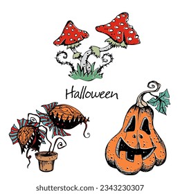 Elementos decorativos de Halloween. Las setas vuelan agria y calabaza, planta depredadora de flycatcher. Vector