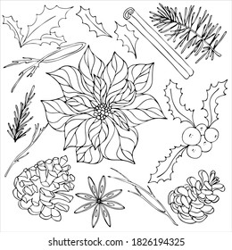 decorative elements for new year and christmas - poinsettia, holly, pine cone, cinnamon, tree, vector set of elements in doodle style, coloring book