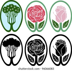 Decorative elements with plant.Isolated on white background.