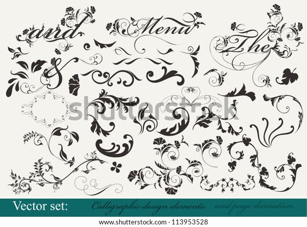 Decorative\
elements for  your design. Calligraphic\
vector