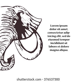 Decorative elephant front view with stylized ornament hand drawn