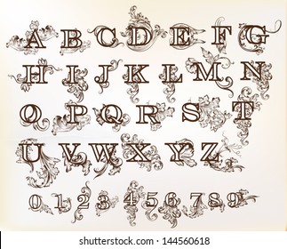 Decorative  English letters for design. Calligraphic vector