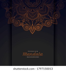 decorative ethnic mandala pattern design background