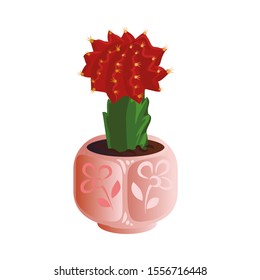 Decorative exotic cactus with a red top in a pink flower pot. Vector illustration in flat cartoon style.