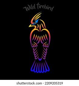 Decorative exotic wild fire bird, colorful line art illustration vector design template.