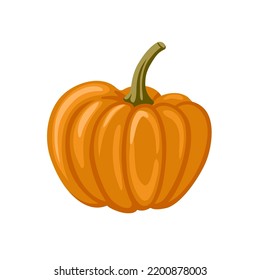 Decorative fairytale orange pumpkin isolated on white background. Squash, gourd vegetable. Hand drawn cartoon vector illustration.