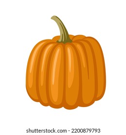 Decorative fairytale orange pumpkin isolated on white background. Squash, gourd vegetable. Hand drawn cartoon vector illustration.