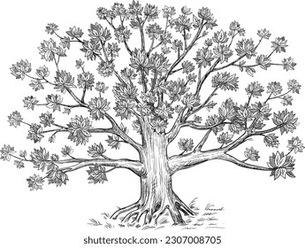 Decorative family tree. Hand drawn vector illustration. For decoration and design.