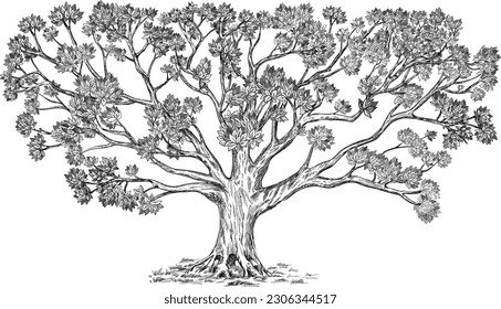 Árbol familiar decorativo con muchos elementos. Ilustración vectorial detallada a mano grande. Uso: árbol genus, fondo, diseño.