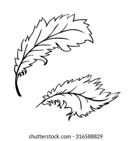 Decorative Feather. Black outline are on a white background. Vector illustration