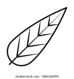 decorative feather icon over white background, line style, vector illustration
