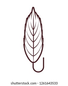 decorative feather isolated icon