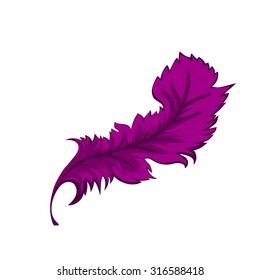 Decorative Feather on a white background. Vector illustration