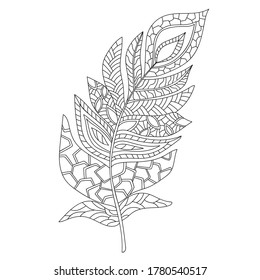 Decorative feather with small and middle pattern on white isolated background. For coloring book pages.