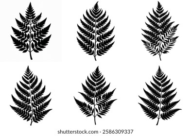 Decorative Fern Leaf Silhouettes Set