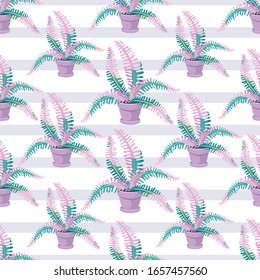 Decorative fern. Vector background. Pattern with houseplant. Big fern leaves in a flower pot. Exotic plant for home or office. Seamless pattern on a white background.