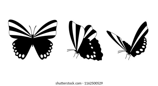 Decorative flat butterflies set