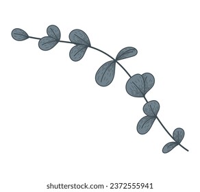Decorative flat eucalyptus branch with leaves, isolated vector twig, sketch style.