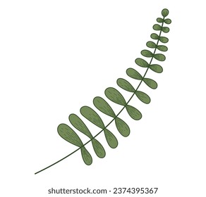 Decorative flat twig with leaves. Vector isolated plant illustration, natural branch, sketch style.