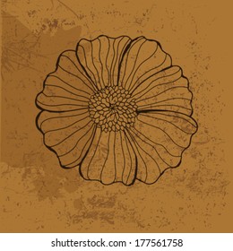 Decorative floral background 
