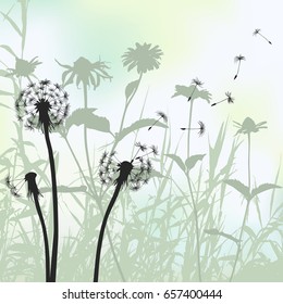 Decorative floral background, dandelion